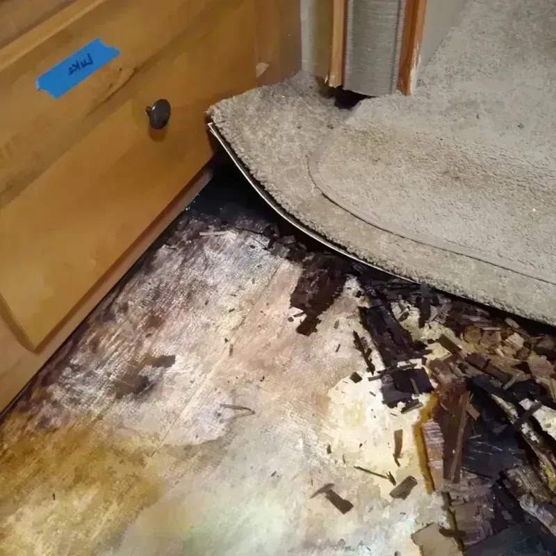 Wood Floor Water Damage in Shenandoah, VA